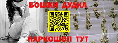 индика Кулебаки