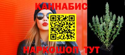 индика Кулебаки