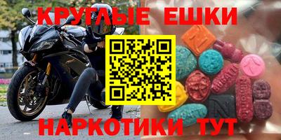 прущие грибы Кунгур