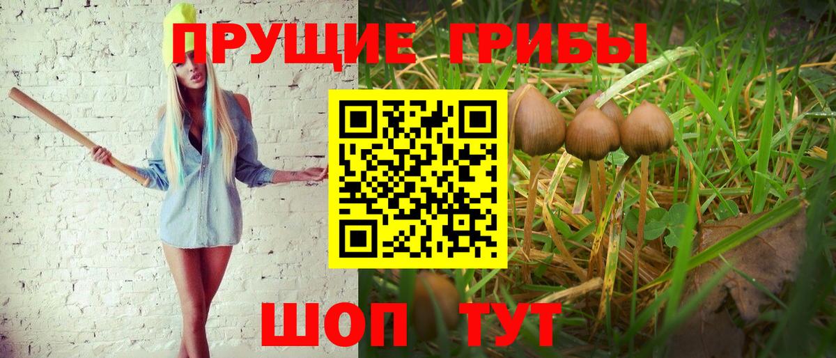 Псилоцибиновые грибы ЛСД  Вход с VPN  Калуга  Псилоцибиновые грибы MAGIC MUSHROOMS 